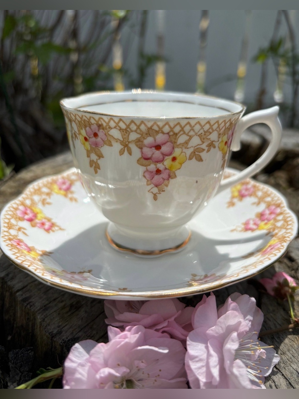 Antique Royal Albert Trellis Teacup Saucer Set Crown China 1911